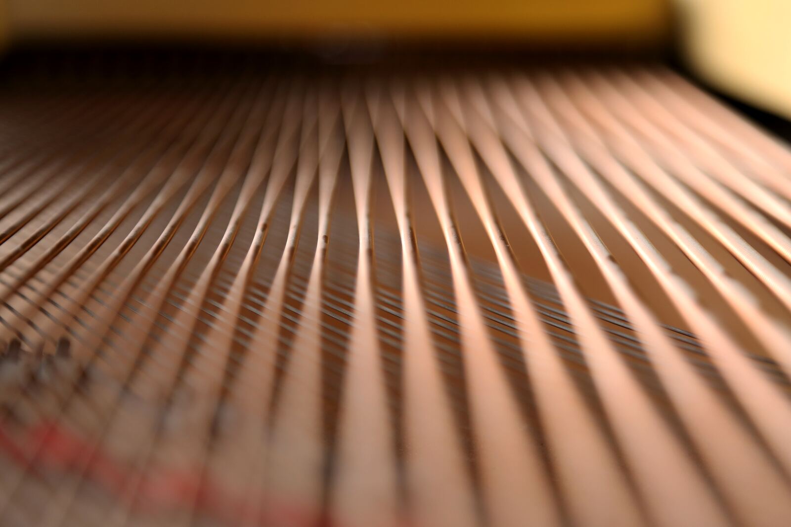 The strings inside a grand piano